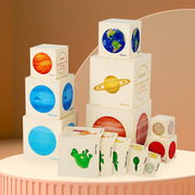 儿童早教益智套盒玩具八大星球动植物生长变化过程逻辑思维玩具