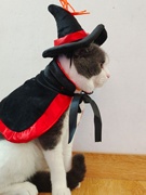 万圣节宠物猫咪小披风带帽狗狗角色扮演装女巫巫婆蜘蛛套装