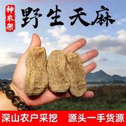 神农架乌天麻野生特级新鲜干货，500g无硫无熏可切片非云南昭通天麻