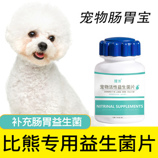 比熊专用益生菌片宠物保健益生菌狗狗肠胃宝肠道消化宝成幼犬