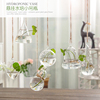 花瓶玻璃透明水培绿萝植物装饰瓶创意小清新客厅悬挂简约迷你吊瓶