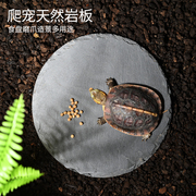 乌龟黄缘半水龟食盘爬虫陆龟磨指甲岩石板饲养箱造景装饰垫材石头