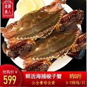 3斤活梭子蟹鲜活大螃蟹海蟹，飞蟹海鲜水产新鲜公蟹白蟹生母蟹