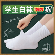 学生白色袜子纯棉春夏季薄款中大童男童女童儿童网眼船袜运动短袜