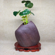 石头花盆创意天然鹅卵石盆绿植铜钱草禅意花器无孔水培植物花瓶