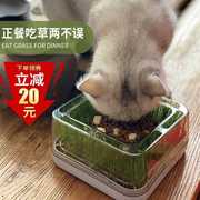 诺肯猫草碗盆栽猫咪喝水猫粮单碗斜口碗保护劲椎猫草种植套装猫咪