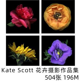 Kate Scott 花卉摄影集 植物 光影 色彩 美术设计素材参考