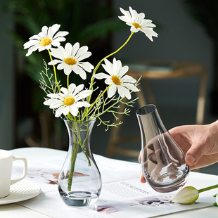 套装北欧简约ins风玻璃，花瓶透明水培植物鲜花，客厅装饰插花瓶摆件