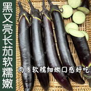 黑又亮紫黑长茄种子春夏秋四季播蔬菜籽，软糯好吃阳台盆栽高产孑