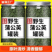 特级长白山蒲公英茶叶中药材糖尿人专用茶搭配金银花贡菊花茶清火