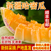 新疆哈密瓜新鲜水果甜瓜整箱吐鲁番西州蜜10斤应当季现摘