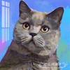 小猫咪蓝猫十字绣2024绣可爱动物图案粘贴满砖手工钻石画儿童