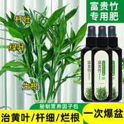 富贵竹营养液水培植物专用肥料，转运观音竹子家用专治黄叶养花通用
