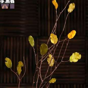 干枝干花客厅装饰枯树枝装饰树叶，装饰干枝树干树枝树装饰天然干花