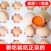正宗农家散养土鸡蛋，新鲜30枚杀菌鸡蛋放养初生，蛋草鸡蛋笨鸡蛋