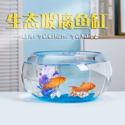 透明玻璃鱼缸小型金鱼缸家用造景圆形小鱼缸客厅办公桌迷你乌龟缸