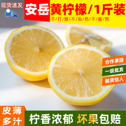 四川安岳黄柠檬(黄柠檬)尤力克柠檬一级鲜果，皮薄多汁不打蜡坏果包赔500克