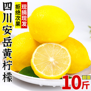 四川安岳黄柠檬(黄柠檬)10斤大果当季新鲜水果，现摘皮薄香水鲜甜青柠檬