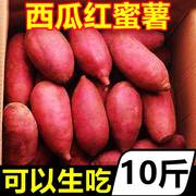 广西西瓜红蜜薯10斤新鲜糖心六鳌板栗番薯农家自种沙地现挖地瓜