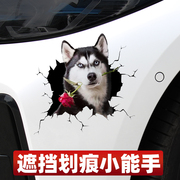 汽车个性狗狗3D立体车贴小猫咪车身划痕遮挡保险杠装饰贴纸电动车