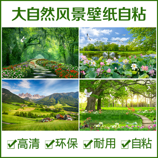 3d立体壁画自然森林风景山水，壁纸卧室客厅电视，沙发背景墙贴画自粘