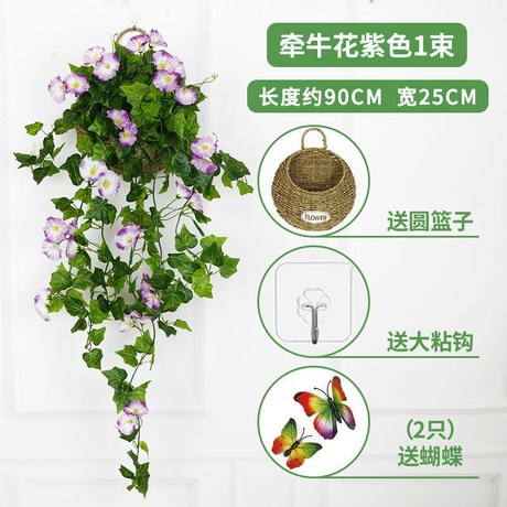 挂花藤