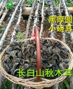 东北黑木耳吉林干货特产，无根干椴木，秋木耳250g半斤