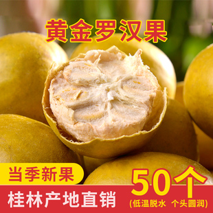 黄金罗汉果干果新鲜冻中药材，广西桂林永福特产罗汉果茶