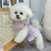 狗狗宠物衣服夏季吊带茶杯犬比熊泰迪博美小狗狗猫咪公主背心可爱