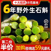 铁皮石斛新鲜条安徽霍山枫斗粉茶礼盒装石斜米500g