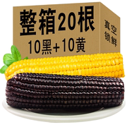 10黑+10黄富硒玉米新鲜糯玉米真空包装大棒260g香甜黏黄玉米