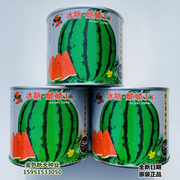 冰糖麒麟王西瓜种子瓤特大春秋红播高产早熟8424超甜美都西瓜种籽