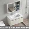 304不锈钢浴室柜组合卫生间洗脸盆一体，陶瓷洗漱洗手池，11.11.2米