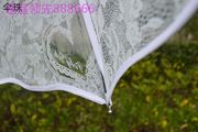 透明雨伞可折叠ins风韩版超好看的小众设计n伞公主风女生伞高颜值