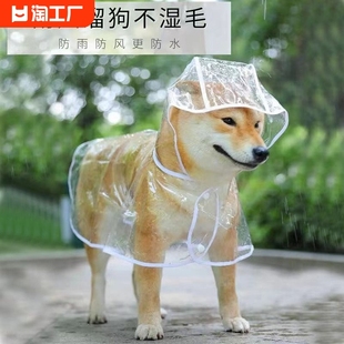 狗狗雨衣宠物透明雨披柯基，泰迪柴犬小型犬，金毛中型犬雨天防水神器