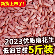 2023新山东(新山东)小瘪子花生米生新花生小粒，细长生花生仁养胃秕子花生孕