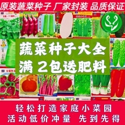 四季蔬菜种子菜种籽种，孑西红柿草莓香菜，番茄黄瓜辣椒西瓜盆栽阳台