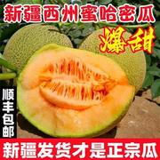 正宗新疆哈密瓜新鲜水果一箱吐鲁番西州蜜瓜25号甜瓜香瓜网纹瓜