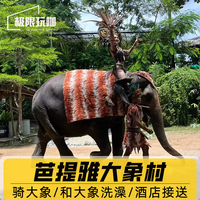 泰国芭提雅大象村酒店接送骑大象
