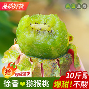 正宗徐香猕猴桃陕西眉县新鲜香甜绿心奇异果当季水果30枚