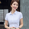 夏季女士短袖衬衫白色竖条纹高棉质(高棉质)商务，职业装修身工作服面试工装