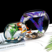 小型创意扁形玻璃金鱼鱼缸椭圆形，家用桌面水培造景，孔雀鱼带过滤缸