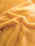 珊瑚绒毛毯床单毛绒加厚法兰绒单件床单式双人单人毯子12床18床