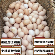 黄山牯牛降景区农家深山散养新鲜土鸡蛋草鸡蛋孕妇月子鸡蛋