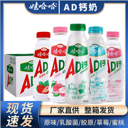 娃哈哈ad钙奶450ml*15瓶箱大瓶牛奶饮料学生酸奶，乳酸菌胶原蛋白肽