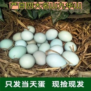40枚正宗农家新鲜散养绿壳乌鸡蛋宝宝孕妇月子有机野生初生乌鸡蛋