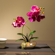 中式仿真蝴蝶兰套装客厅餐桌，花艺摆件玄关茶几桌面，小盆栽假花装饰