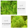 青苔苔藓植物造景永生苔藓，植物墙仿真绿植，墙装饰材料盒装苔藓
