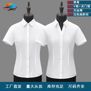 天丝棉短袖女衬衣，v领白色细斜纹qnc3051d商务职业正装修身女衬衫