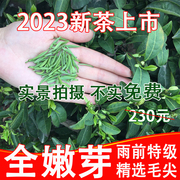 2023新茶上市信阳毛尖自产自销雨前特级嫩芽散装250g大山茶